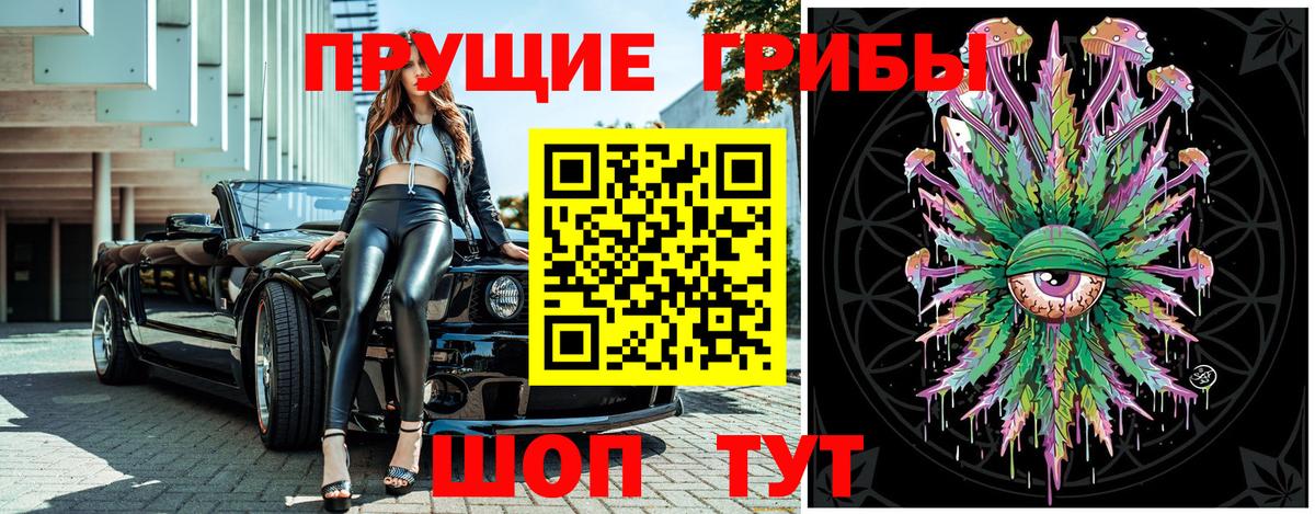 Галлюциногенные грибы GOLDEN TEACHER  Вход с VPN  Сосновый Бор 